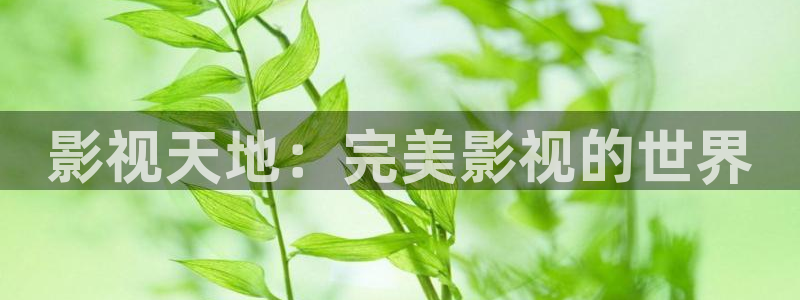 八戒八戒电影免费高清