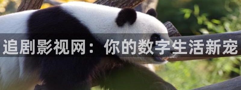 八戒免费在线看电影